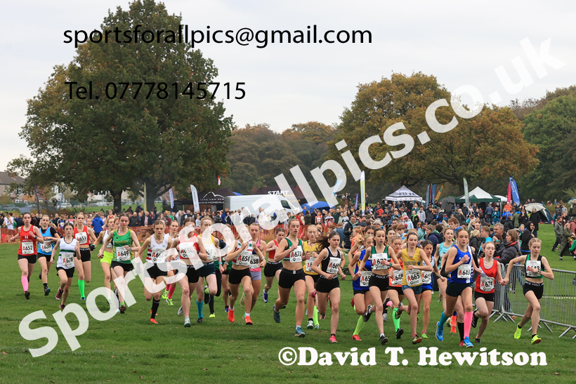 Girls Under-15s relay, 2025 Northern Cross Country Relays, Graves Park, Sheffield. Photo: David T. Hewitson/Sports for All Pics